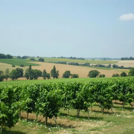 Chateau De 4* Fourcès