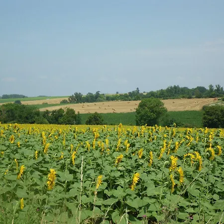 Chateau De Bed & Breakfast Fources