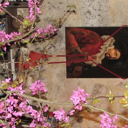 Chateau De Bed & Breakfast Fourcès