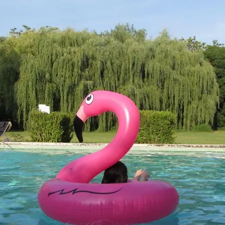 Chateau De Frühstückspension